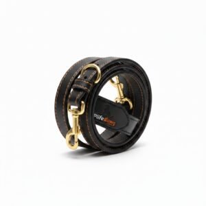 Premium Leather Collar & Leash Set
