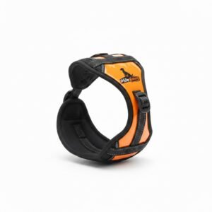 Padded Neoprene Dog Harness