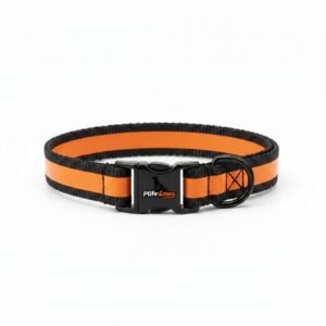 Reflective Nylon Dog Collar