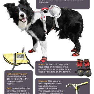 Deluxe Pet First Aid Kit (120pc)