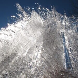 Portable Folding Dog Pool