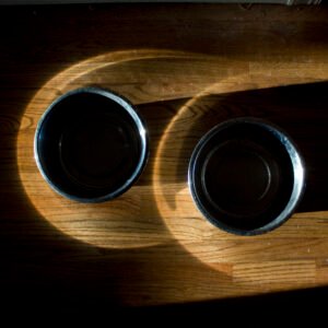 Premium Stainless Steel Slow-Feeder Bowl