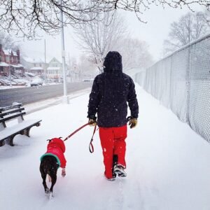 Waterproof Insulated Winter Coat